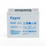 Аккумуляторная батарея Neata NT 12-40 купить в Москве